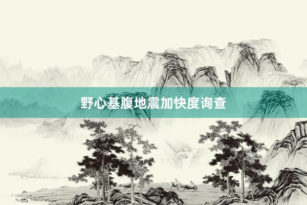野心基腹地震加快度询查